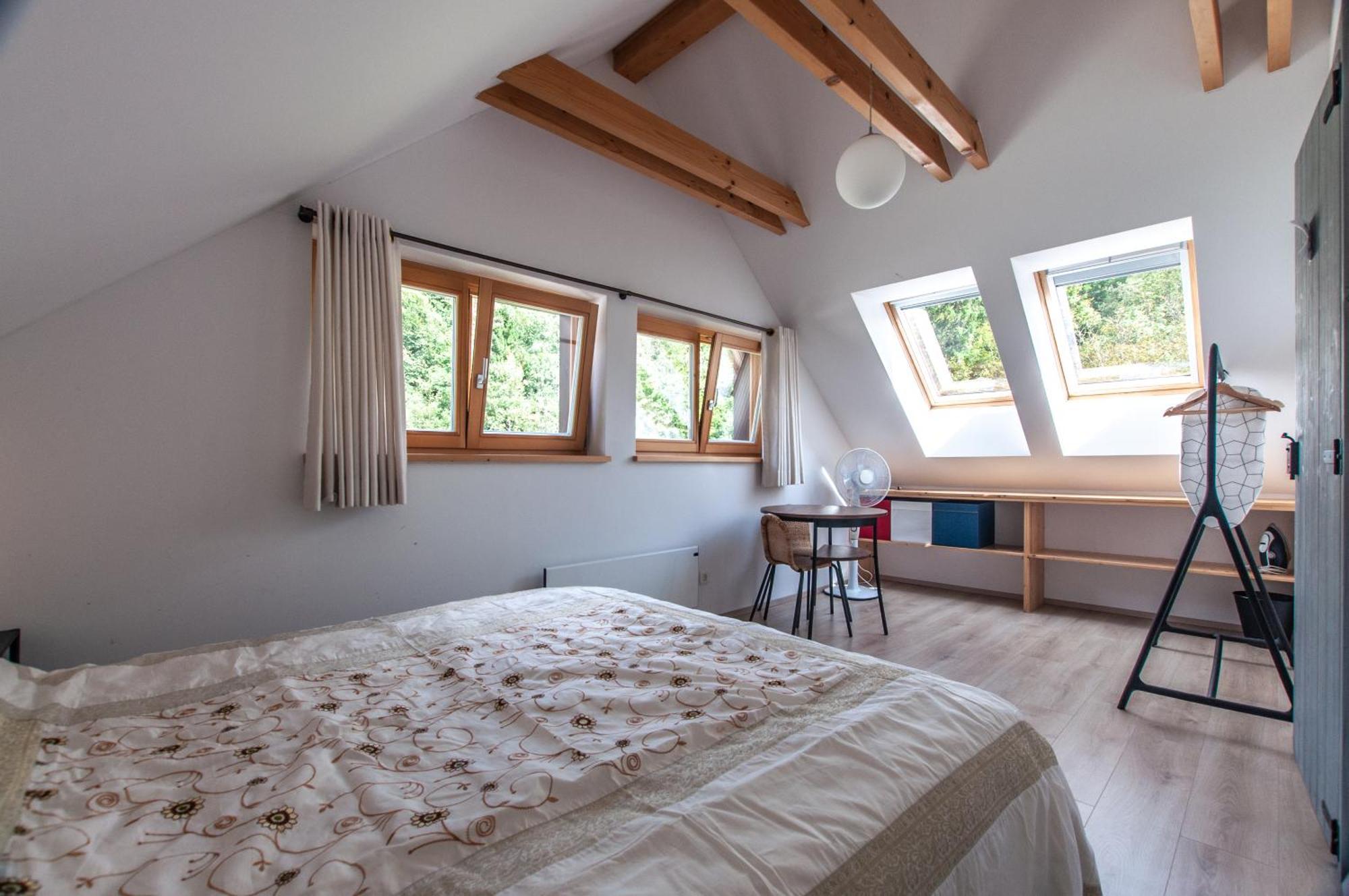 Bohinj Barnアパートメント エクステリア 写真