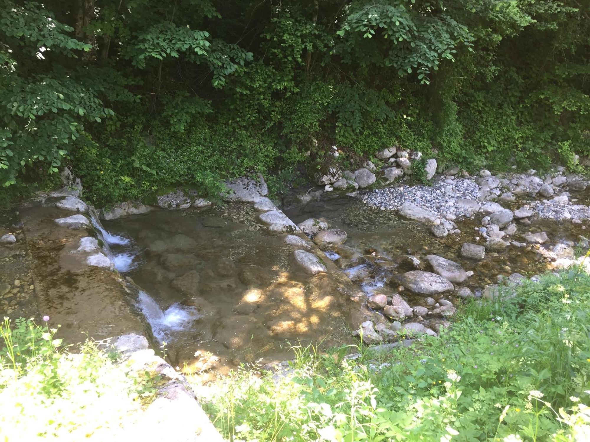 Bohinj Barnアパートメント エクステリア 写真