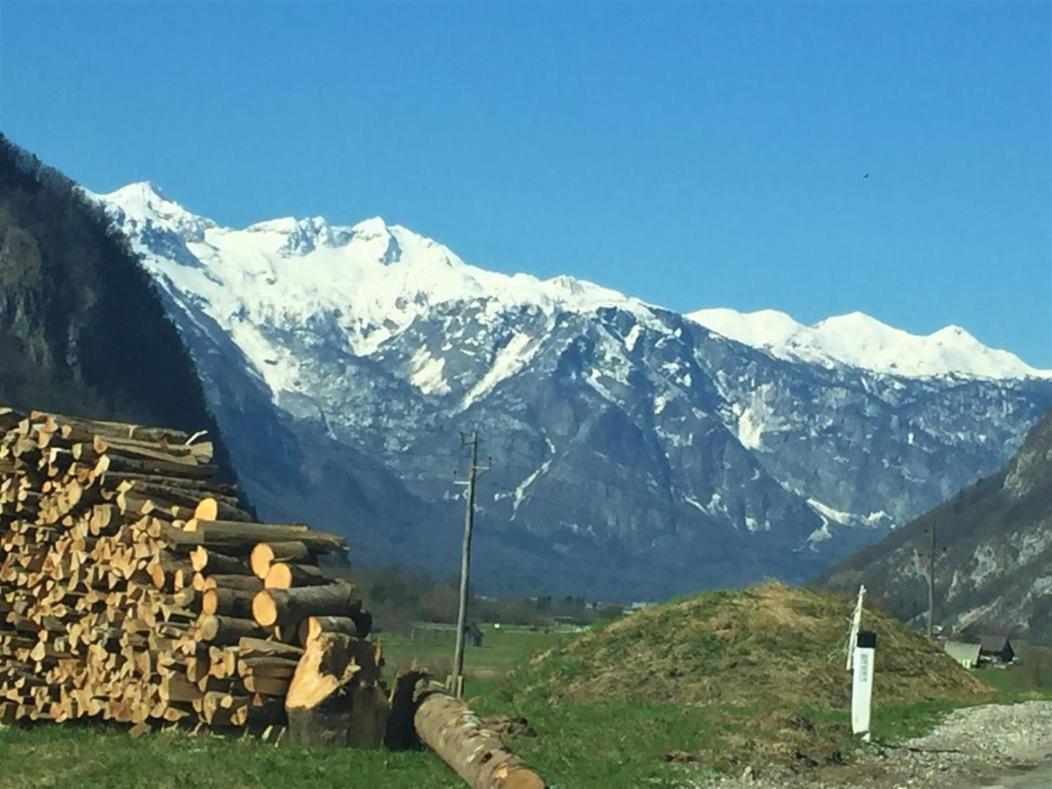 Bohinj Barnアパートメント エクステリア 写真